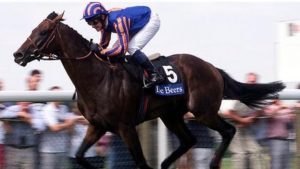 Top stallion Montjeu dies aged 16